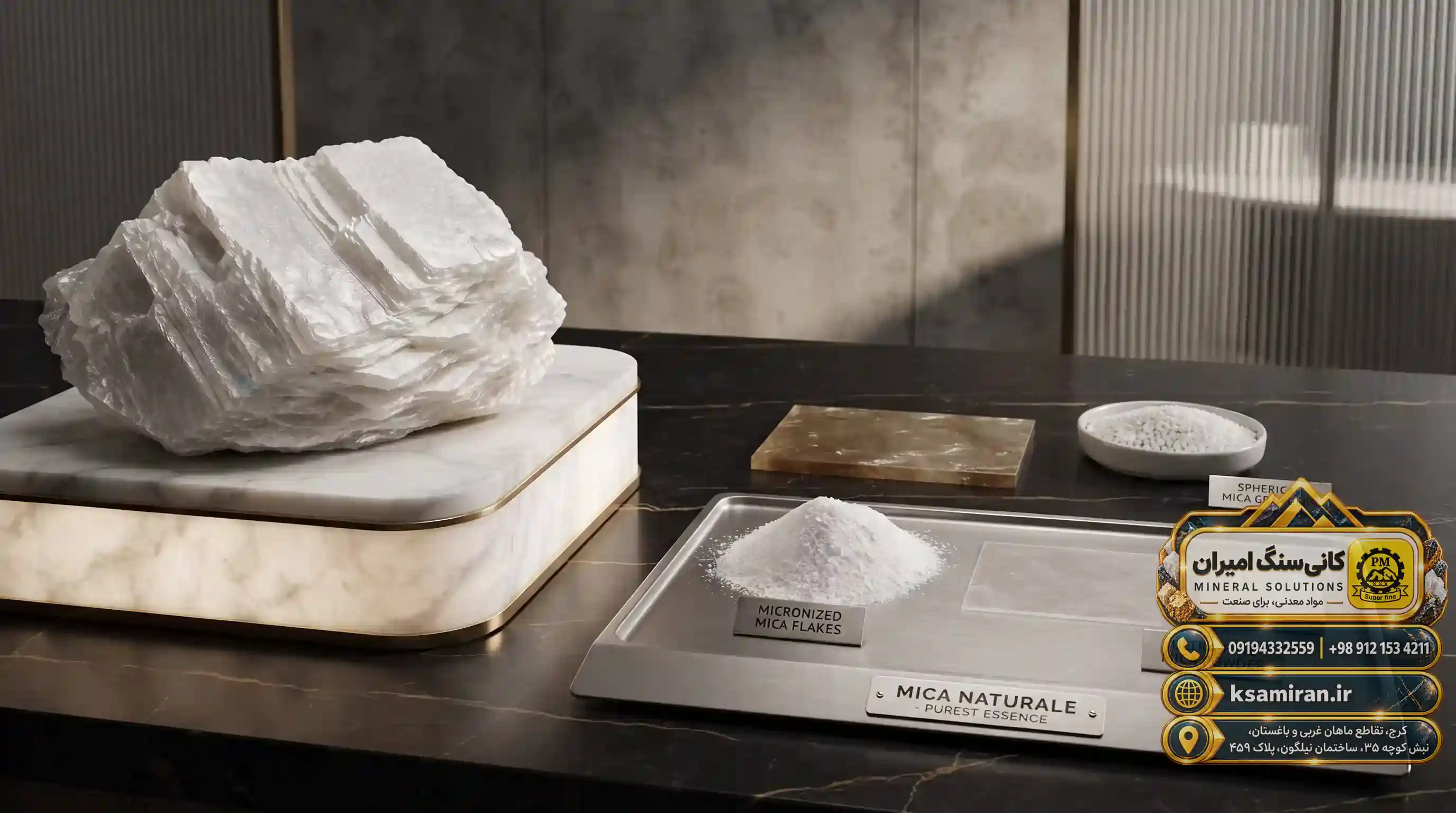 Conclusion and Future Outlook of the White Talc Market
